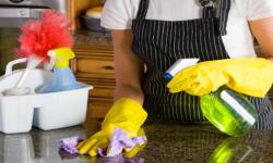 A evolução e os direitos dos empregados domésticos