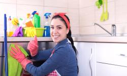 Começa a valer hoje multa para patrão que não assinar carteira de doméstica