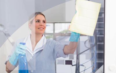 TST reconhece vínculo empregatício de doméstica