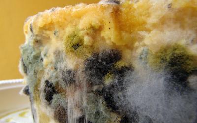 Bolo estragado obriga supermercado indenizar em danos morais