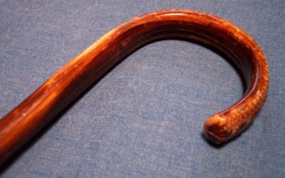 Idosos internados podem ser acompanhados por pessoas de qualquer sexo