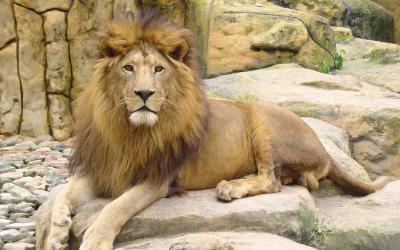 Receita abrirá consulta ao segundo lote da restituição do IR 2014/2015